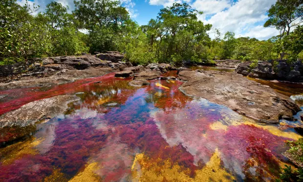 Colombia’s River Of Five Colours